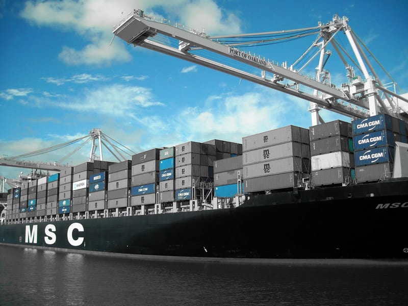 MSC - nowy nabytek firmy