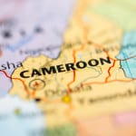 Eksport do Kamerunu